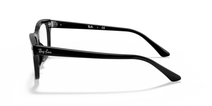 Ray-Ban RB5383F 2000