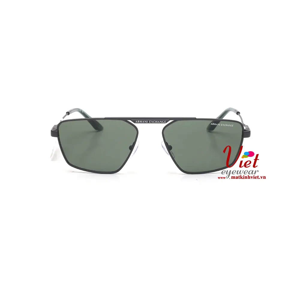 Kính mát Armani Exchange AX2059S 6133/71
