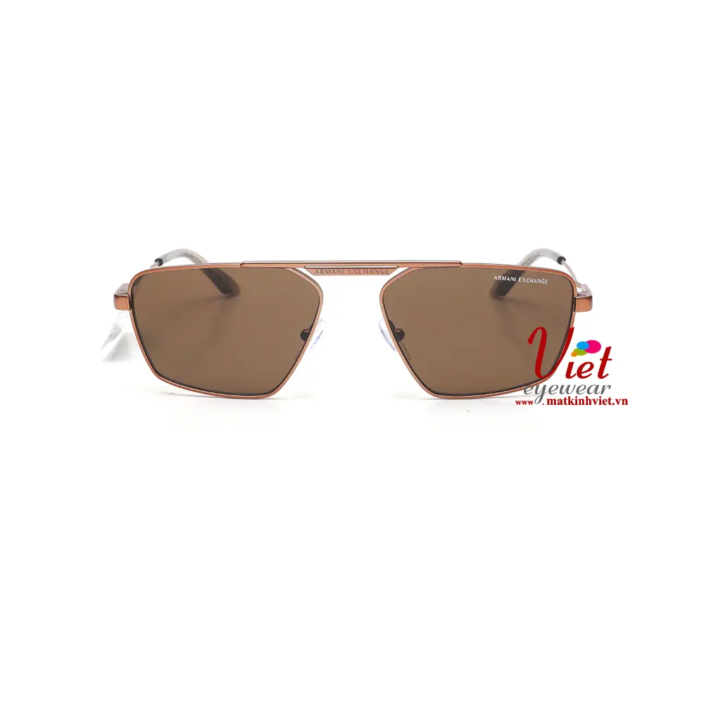 Kính mát Armani Exchange AX2059S 6114/73