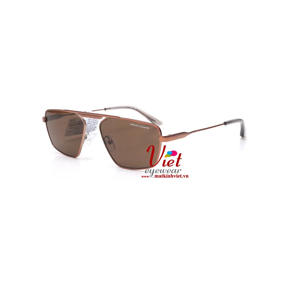 Kính Mát Armani Exchange AX2059S 6114/73