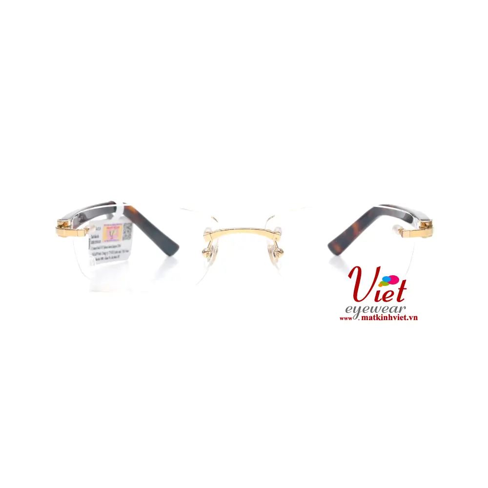 Gọng kính Cartier CT0048O 004