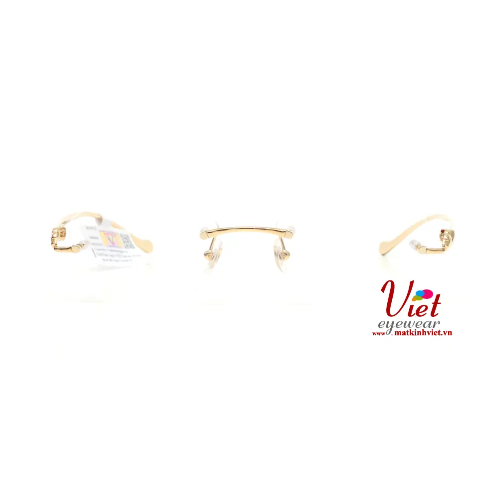Gọng kính Cartier CT0058O 002