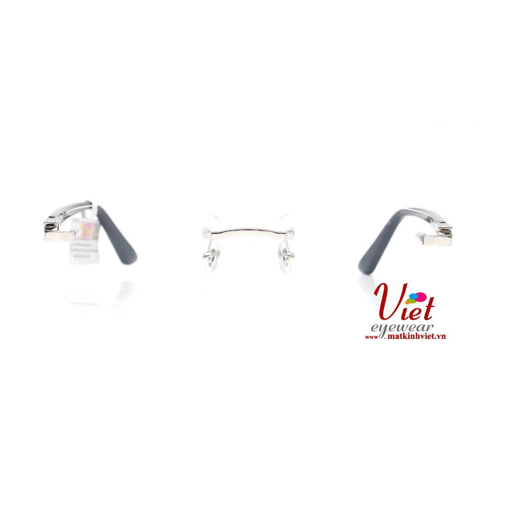 Gọng kính Cartier CT0287O 004