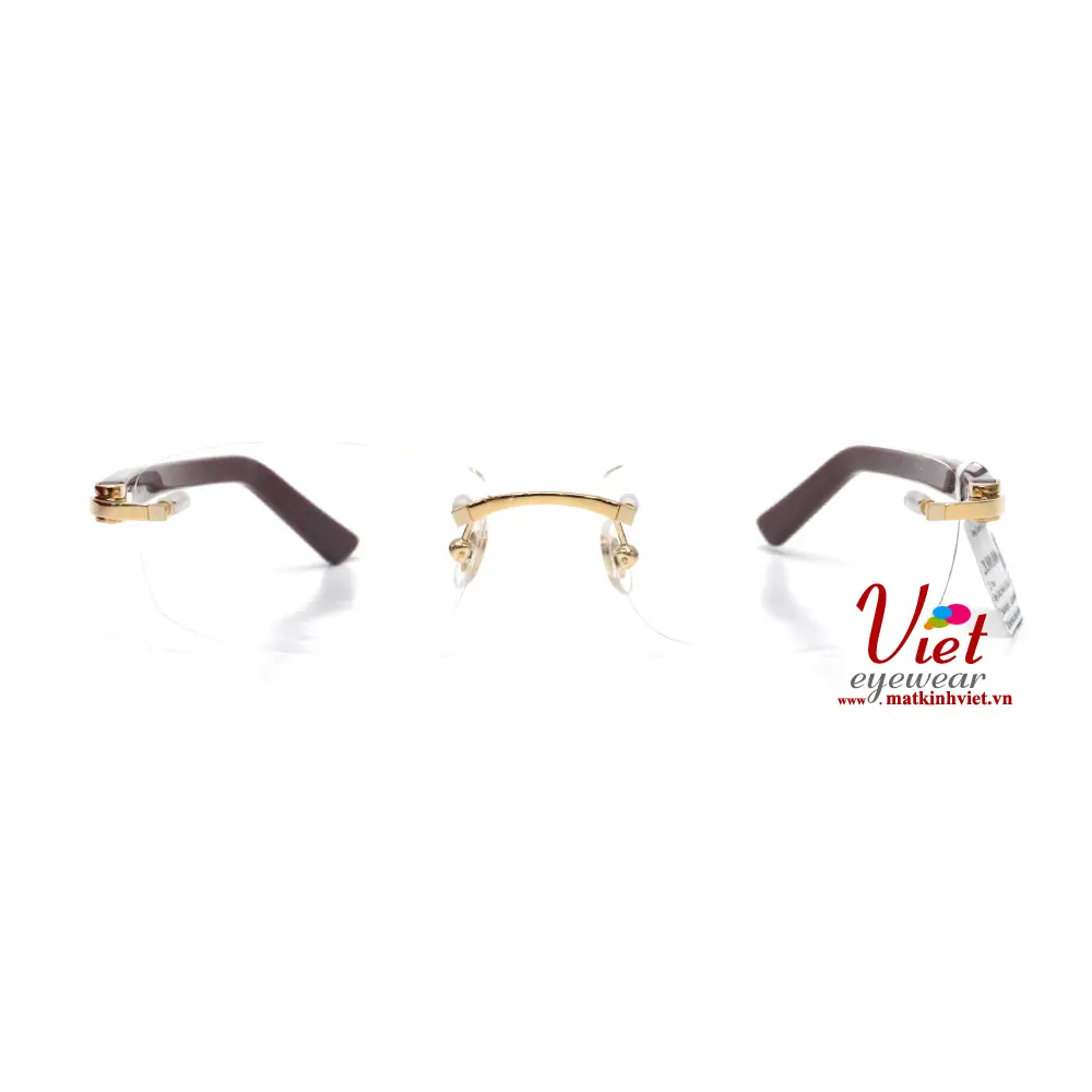 Gọng kính Cartier CT0048O 006 C64F38JC
