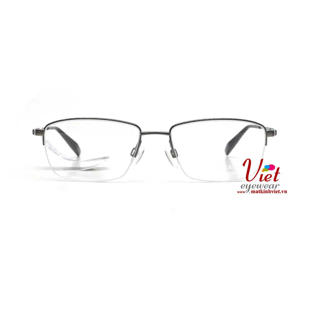 Gọng kính Charmant CH29528 DG