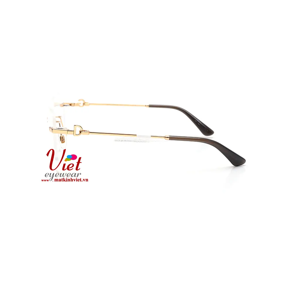 Gọng kính Dolce & Gabbana DG1363 02