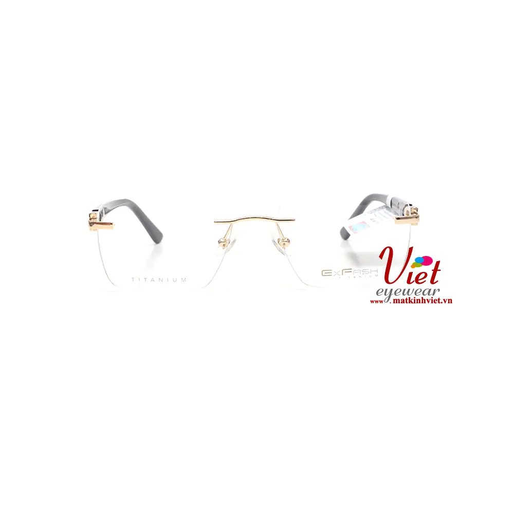 Gọng kính Exfash EF75272T 901