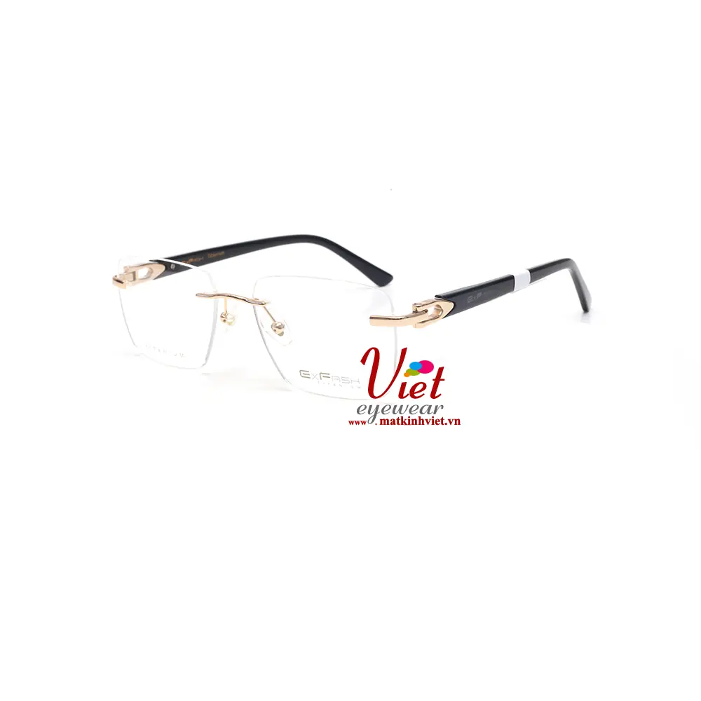 Gọng kính Exfash EF75272T 901