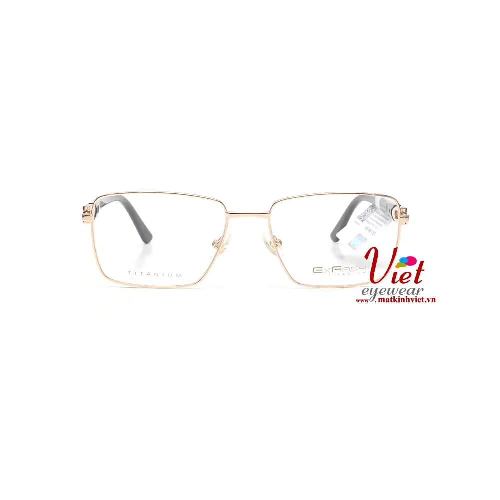 Gọng kính Exfash EF75271T 901