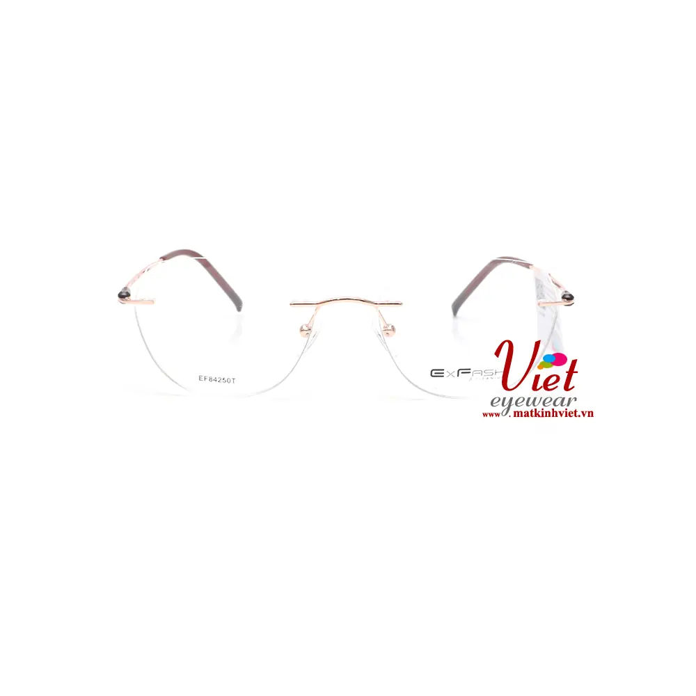 Gọng kính Exfash EF84250T 842B