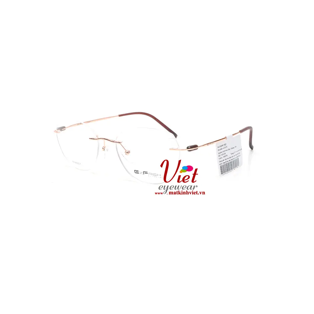 Gọng kính Exfash EF84250T 842B