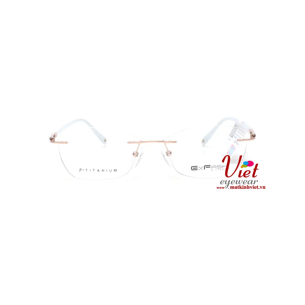 Gọng kính Exfash EF34264T 386A