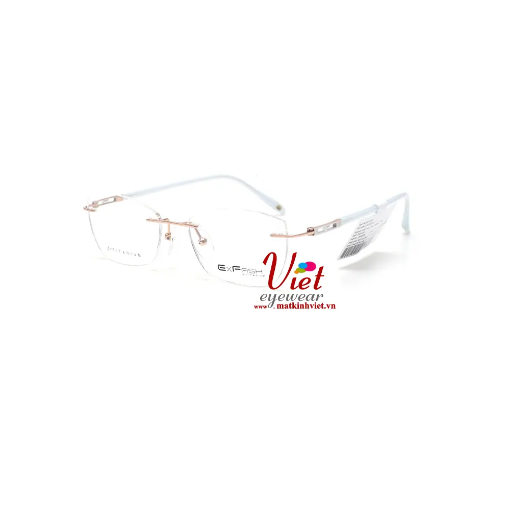 Gọng kính Exfash EF34264T 386A