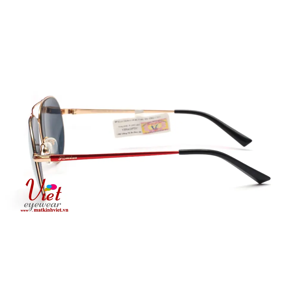Kính mát Goldsun Kid VNGSK217503 B6