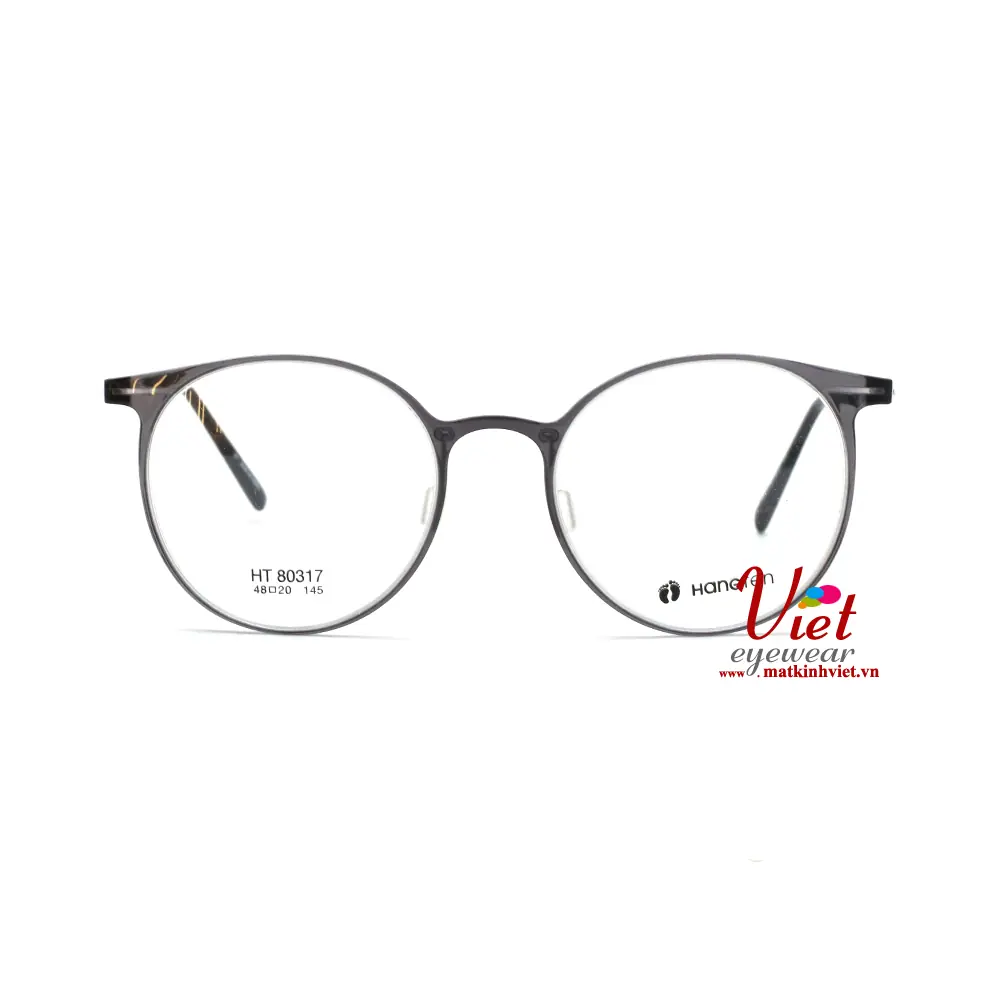 Gọng kính HANGTEN HT80317 C3
