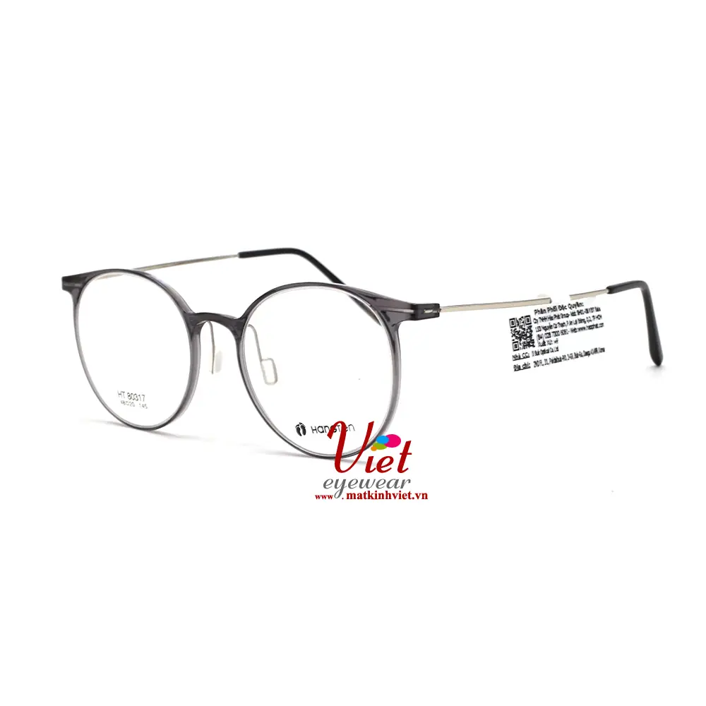 Gọng Kính HANGTEN HT80317 C3