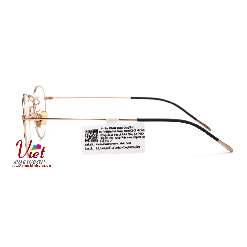 Gọng kính HANGTEN HT80156 C2