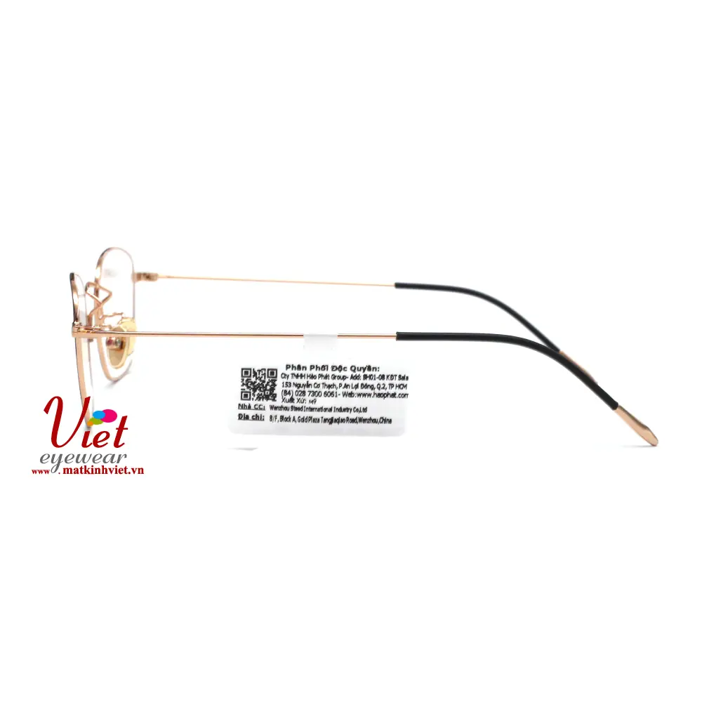 Gọng kính HANGTEN HT80155 C2