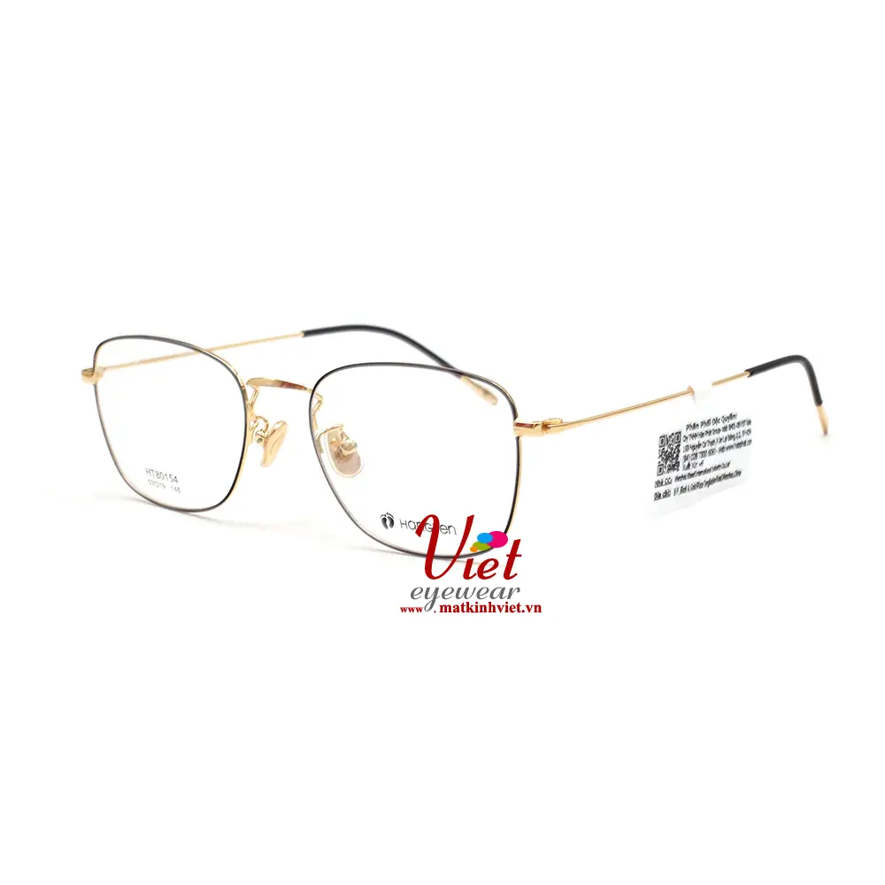 Gọng Kính HANGTEN HT80154 C1