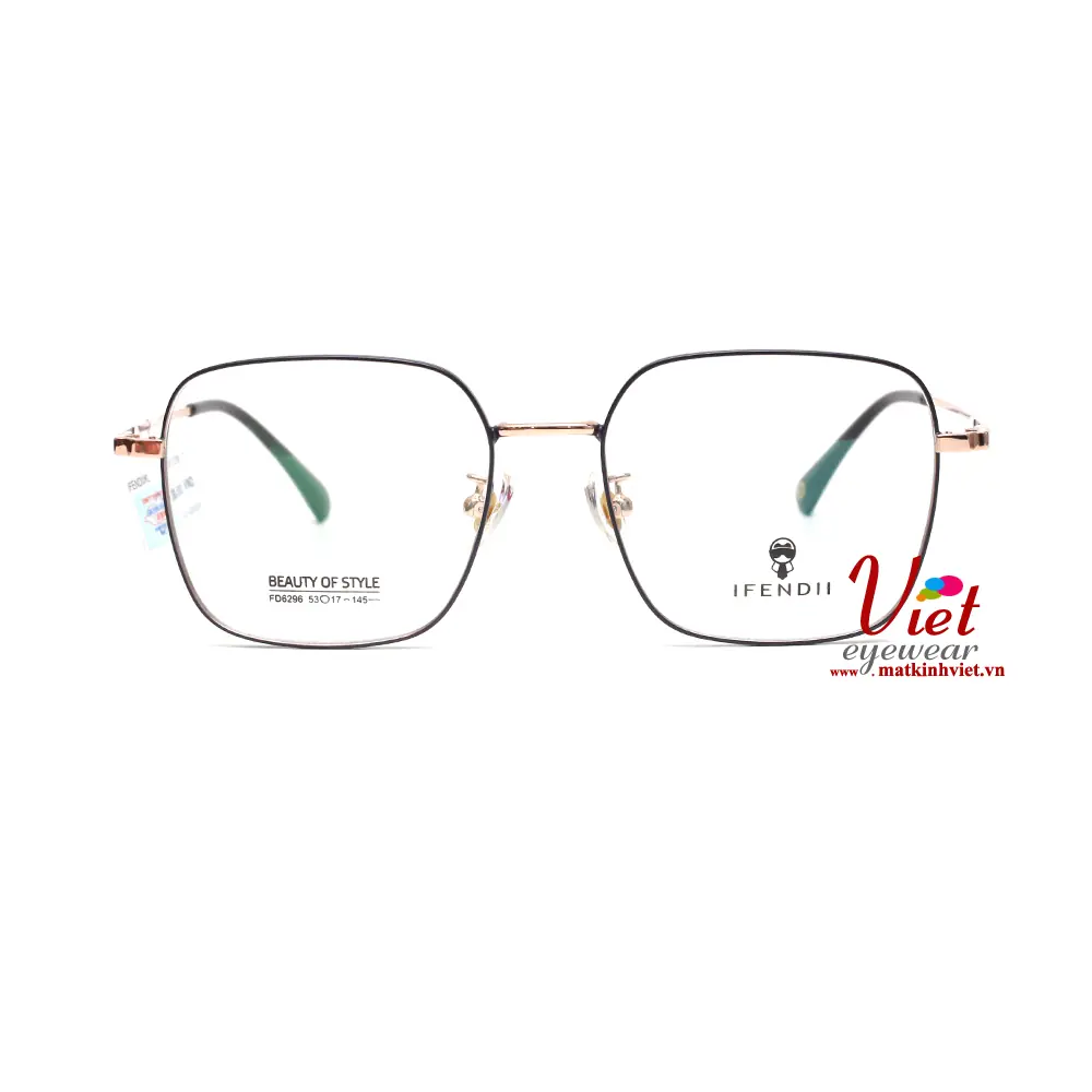 Gọng kính IFendiI FD6296 C1