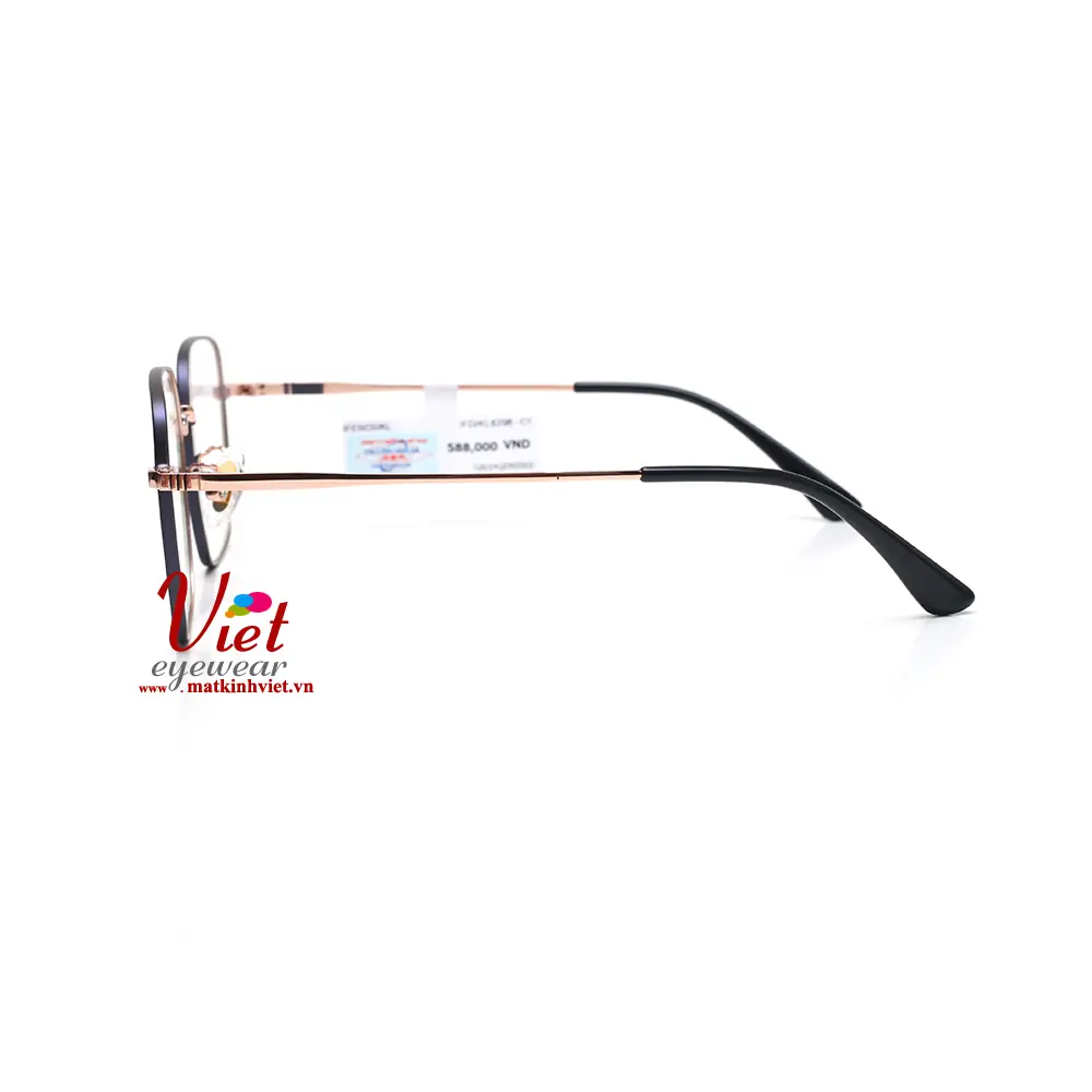 Gọng kính IFendiI FD6296 C1