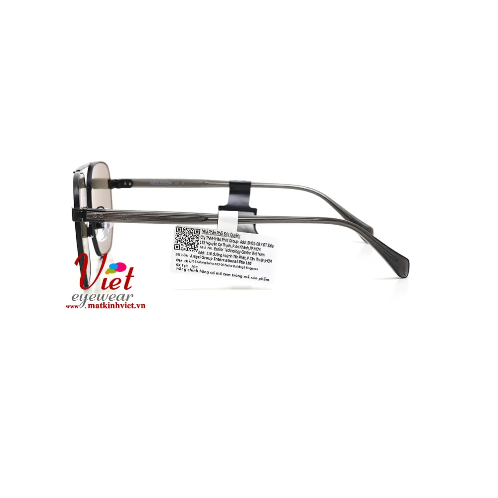 Kính mát MOLSION MS7170 A18