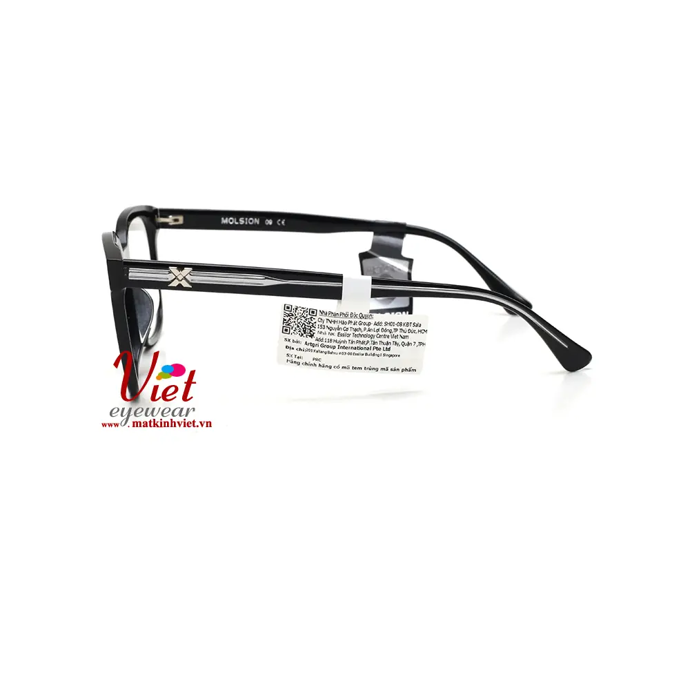 Gọng kính MOLSION MX3001 B11
