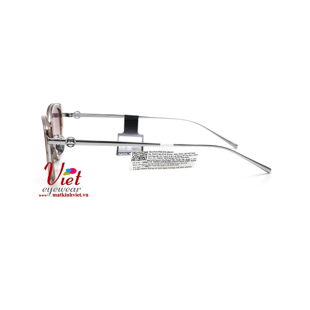 Kính mát MOLSION MS6089 A62
