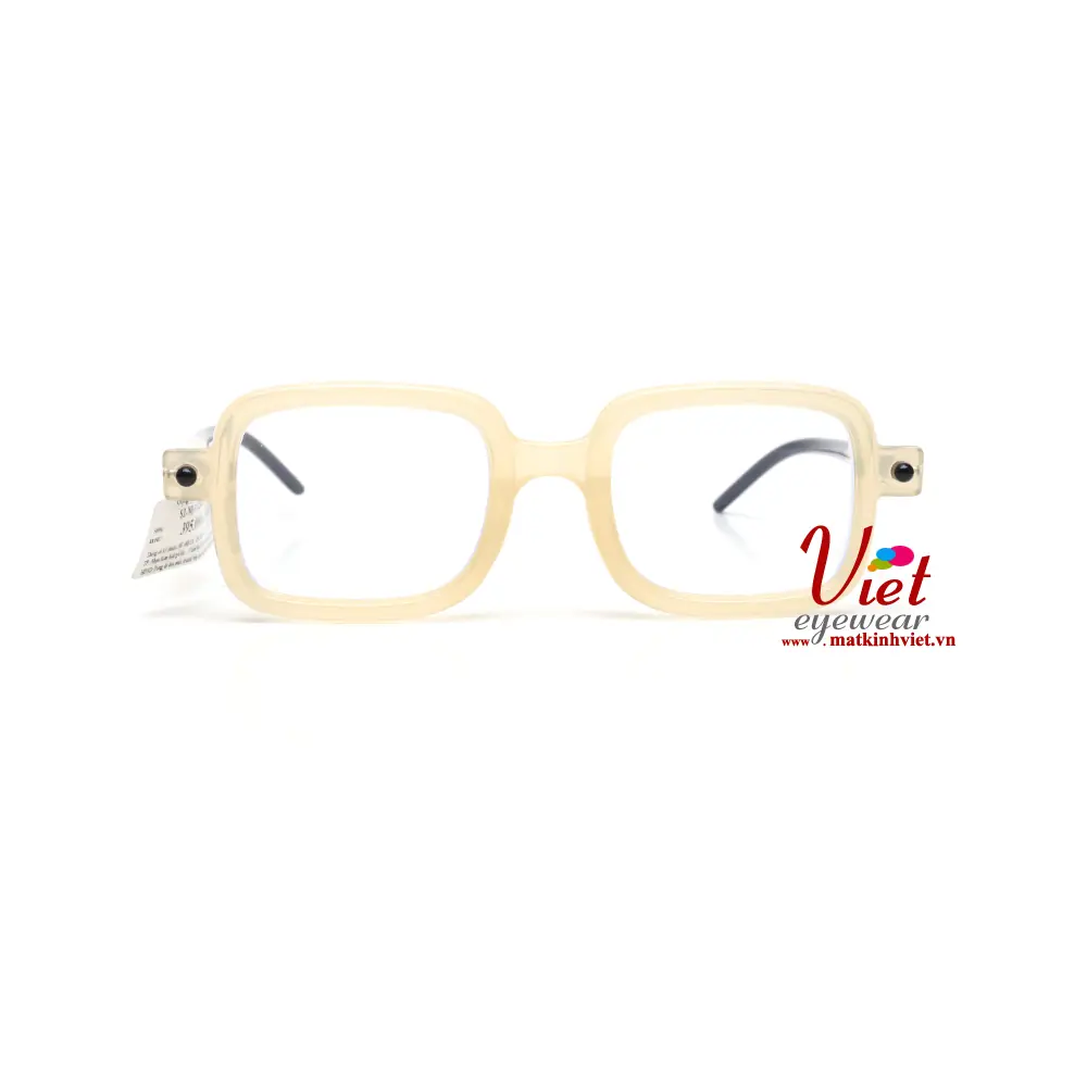 Gọng kính NICE SZ NI VN220208 C4