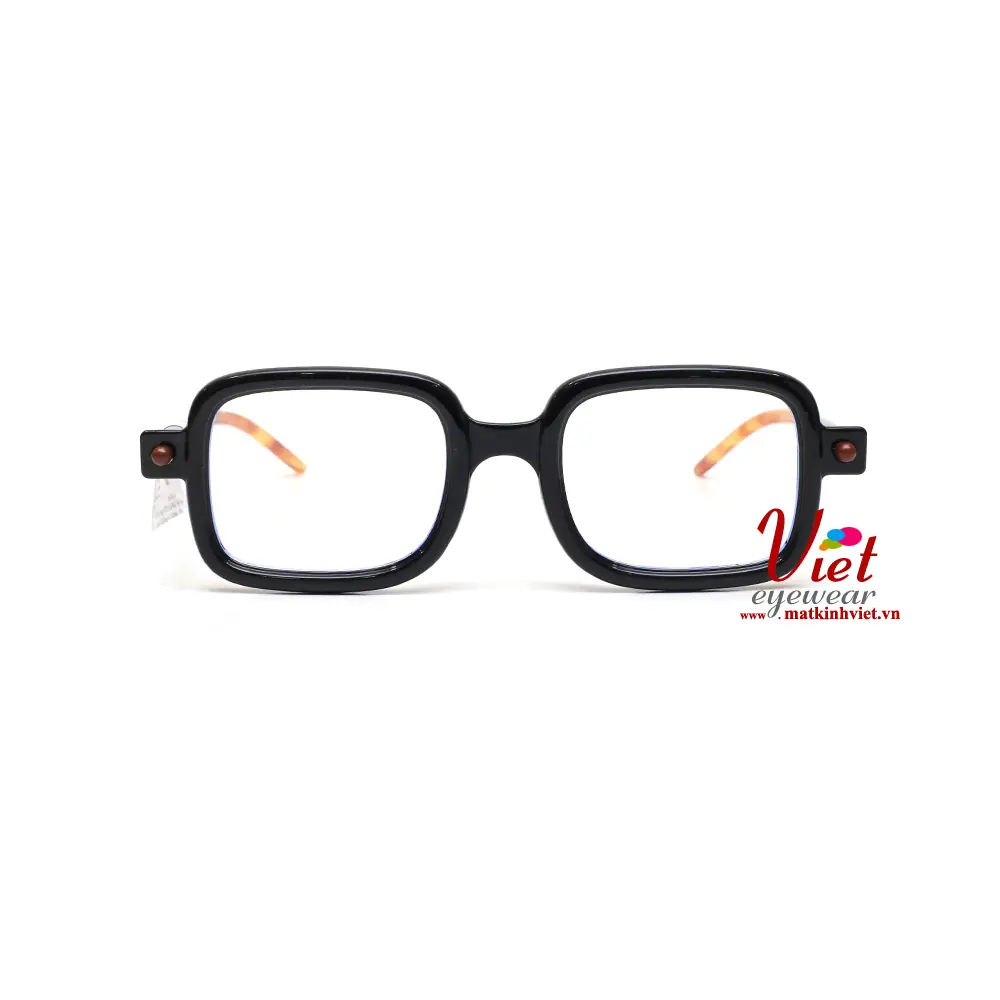 Gọng kính NICE SZ NI VN220208 C1