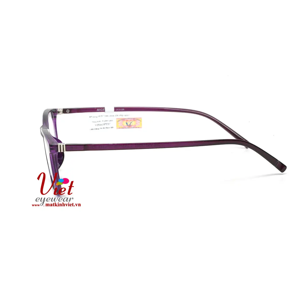 Gọng kính NICE 206VN218007 C6