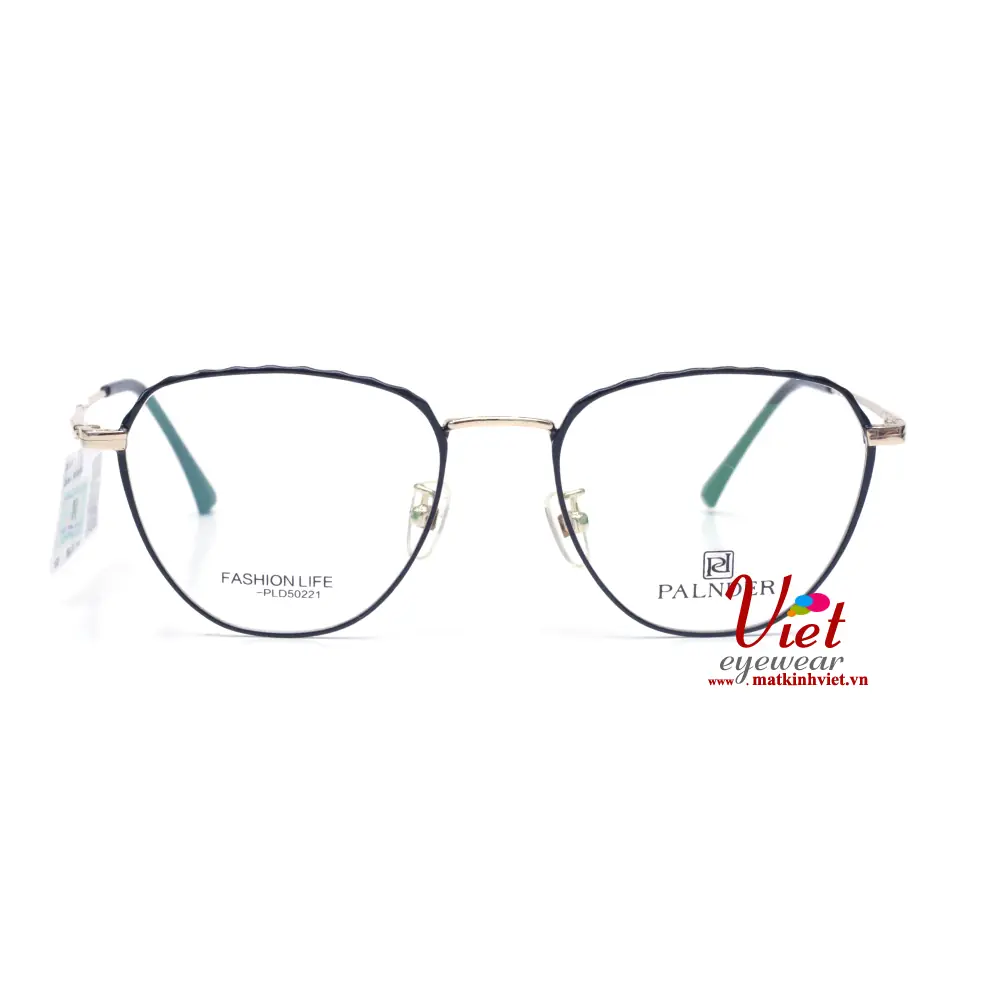 Gọng kính Palnder PLD50221 C12