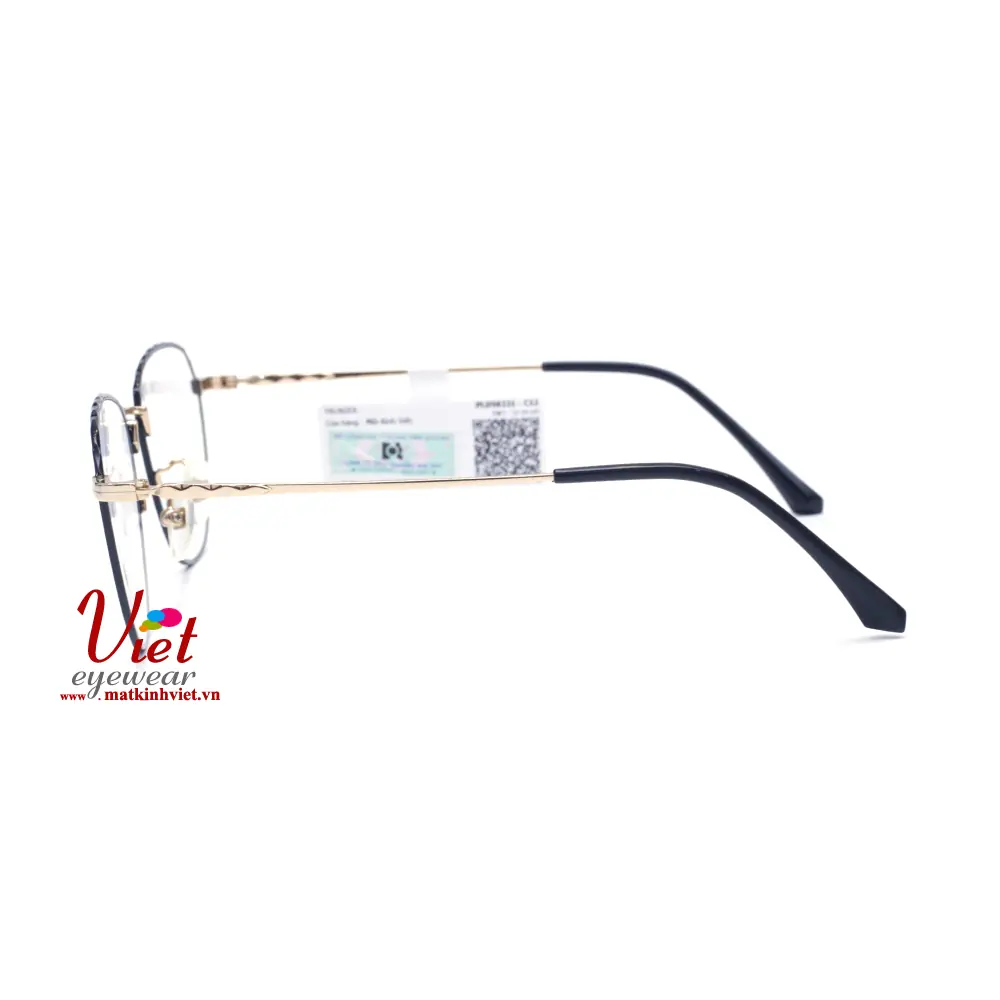 Gọng kính Palnder PLD50221 C12