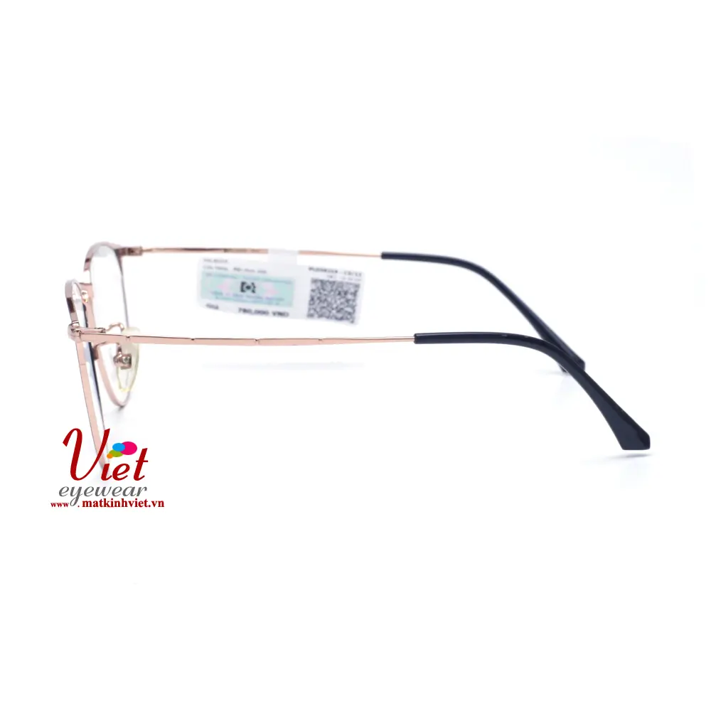 Gọng kính Palnder PLD50219 C3SL12