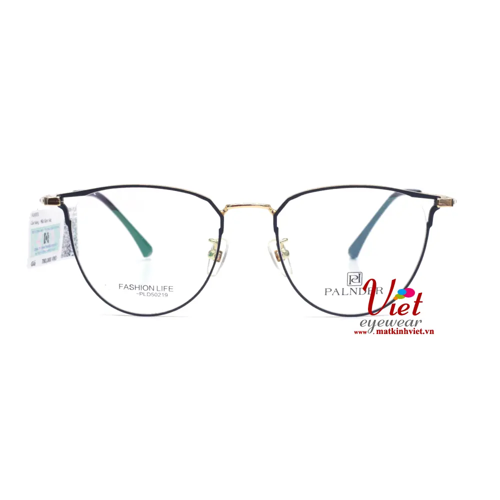 Gọng kính Palnder PLD50219 C1SL3