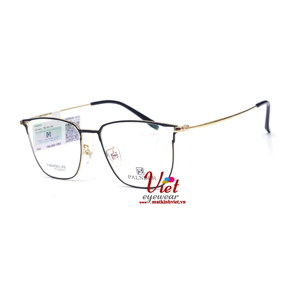 Gọng kính Palnder PLD50218 C1SL3