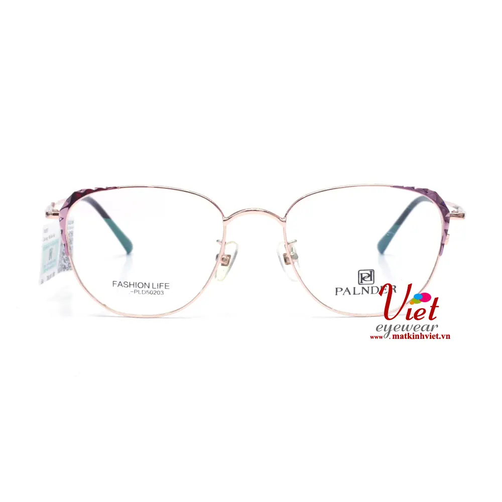 Gọng kính Palnder PLD50203 C12SL16