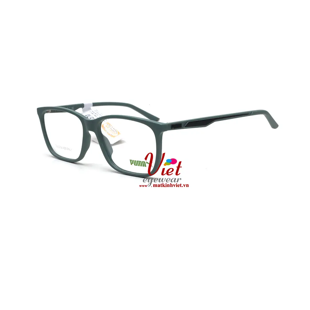 Gọng Kính Puma PE0387O 003