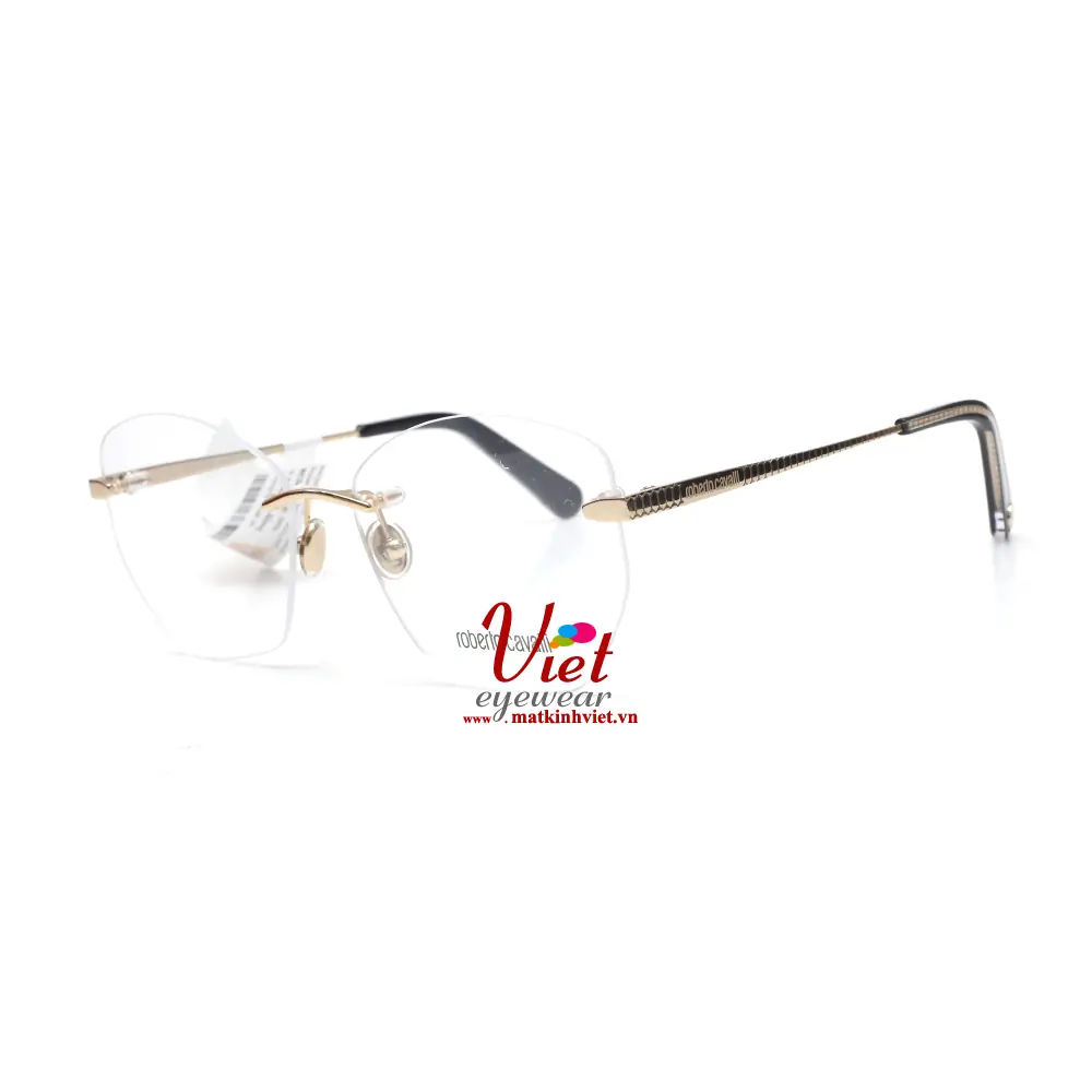 Gọng Kính Roberto Cavalli RC5096 032