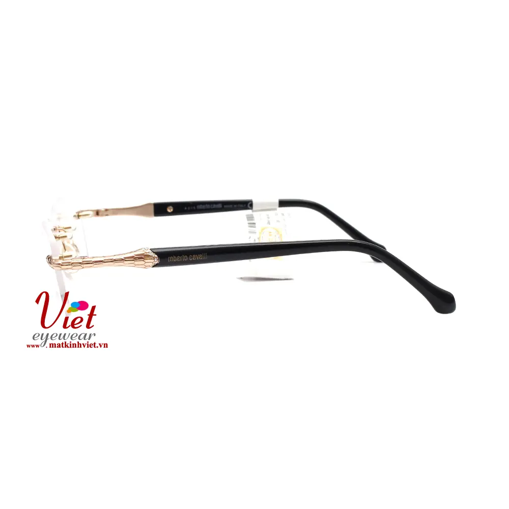 Gọng kính Roberto Cavalli RC951 001