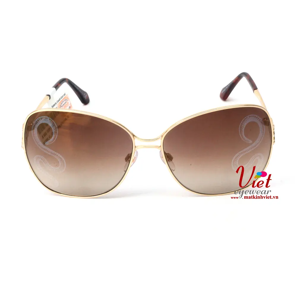 Kính mát Roberto Cavalli RC1060 32G