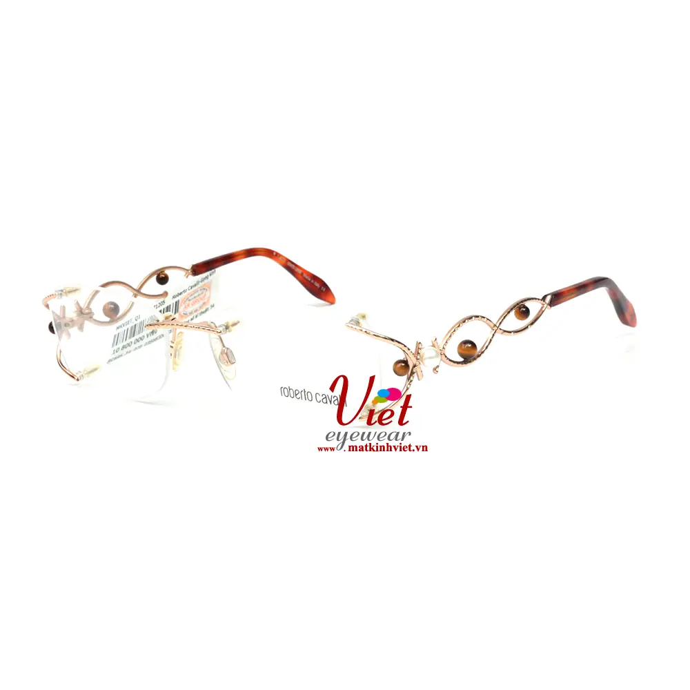 Gọng Kính Roberto Cavalli RC695 028