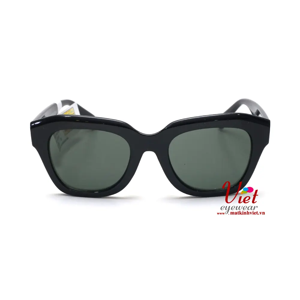 Kính mát Smarty SB2311 A