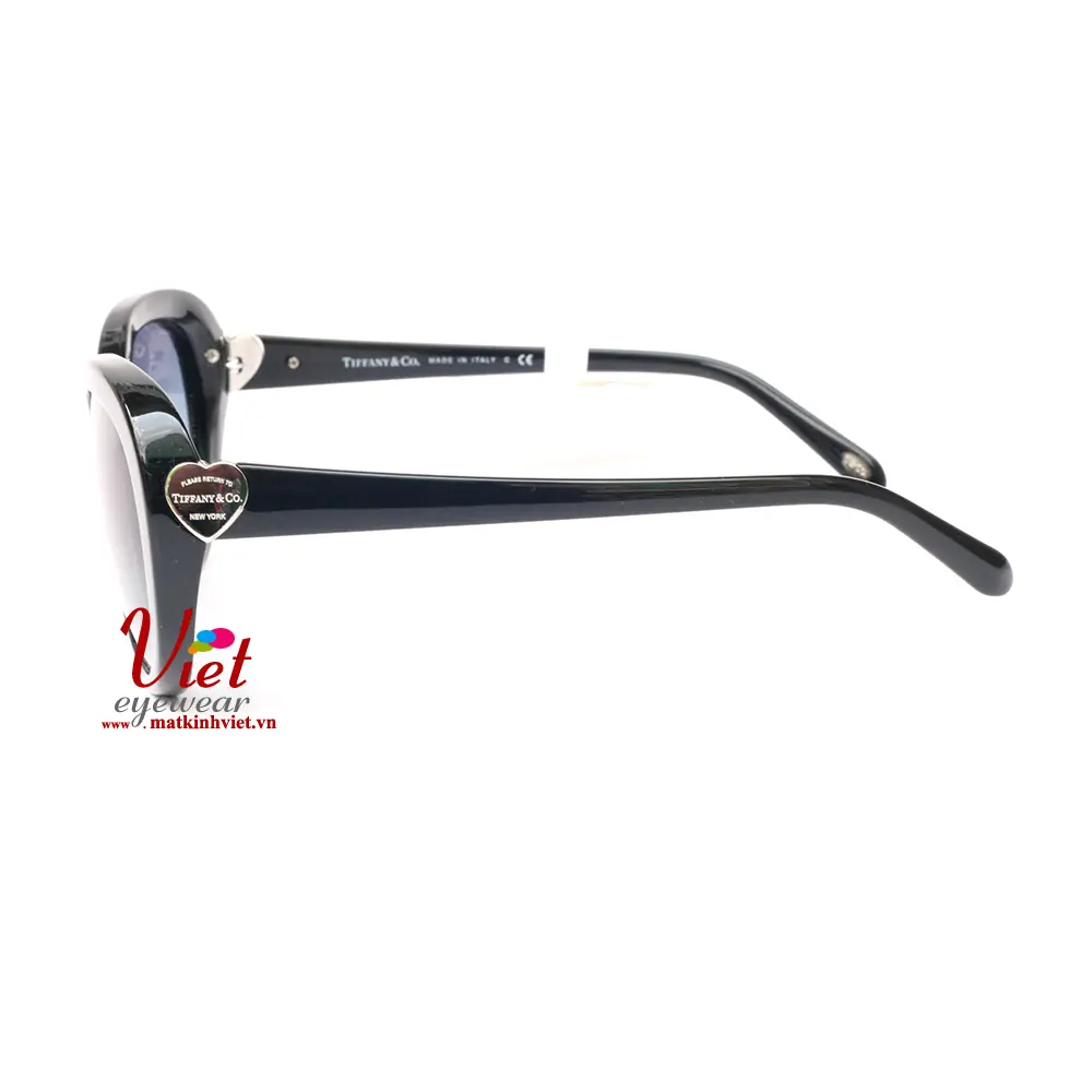 Kính mát TIFFANY & CO 4113F 8001/9S