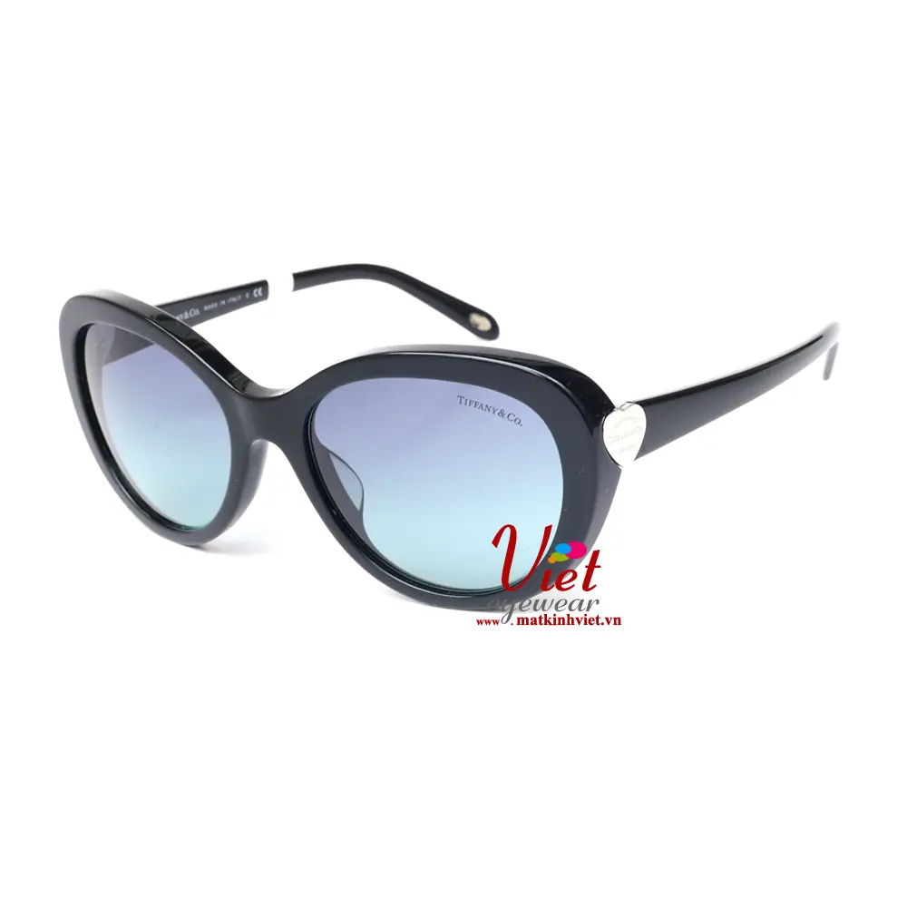 Kính mát TIFFANY & CO 4113F 8001/9S