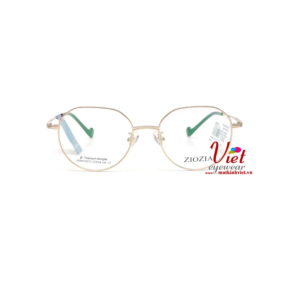 Gọng kính ZIOZIA KDHSIT6175 C3