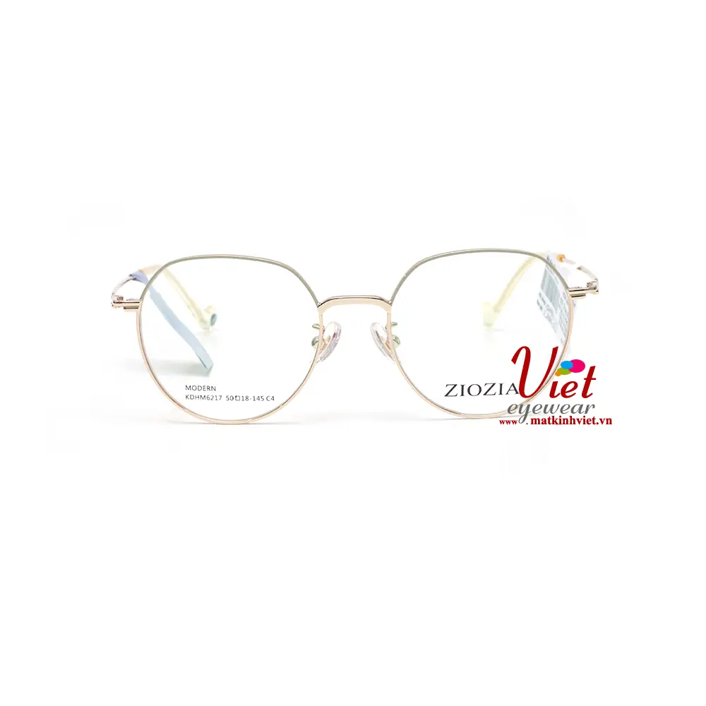 Gọng kính ZIOZIA KDHM6217 C4