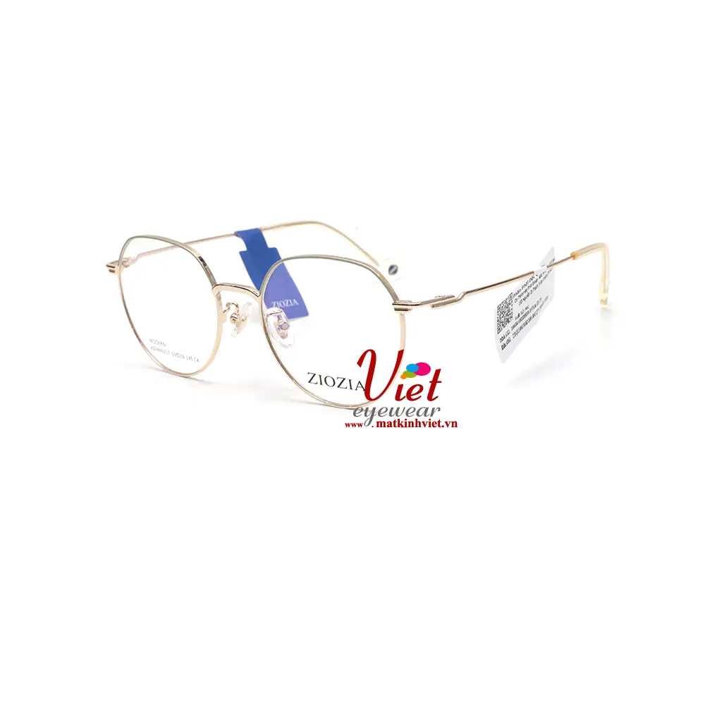 Gọng kính ZIOZIA KDHM6217 C4