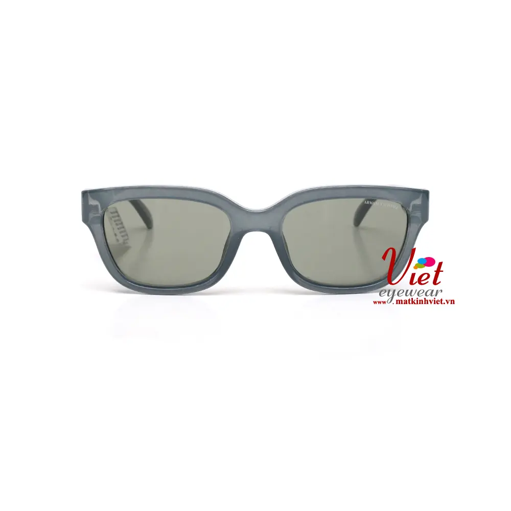 Kính mát Armani Exchange AX4155SU 8375/2