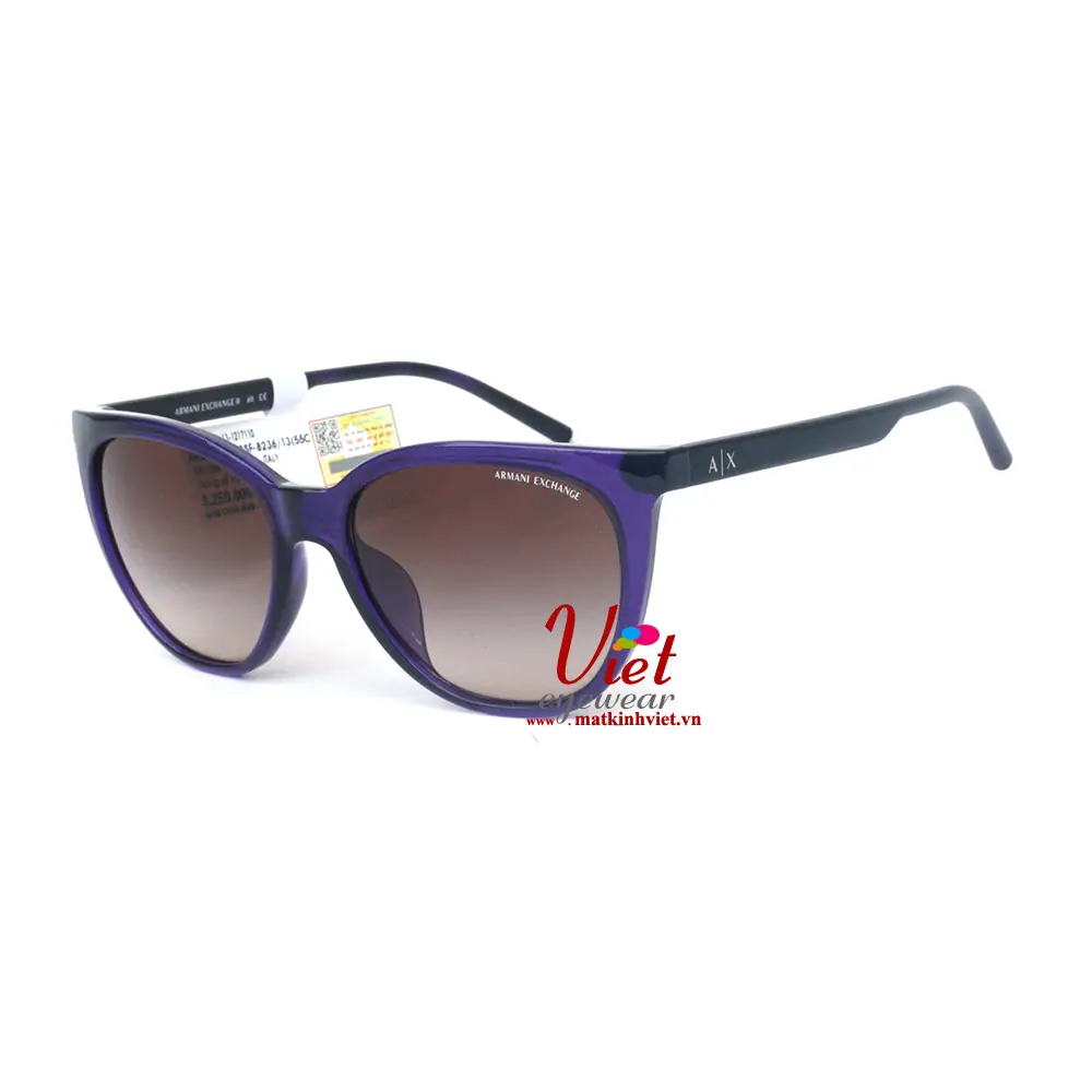 Kính Mát Armani Exchange AX4072SF 8236/13